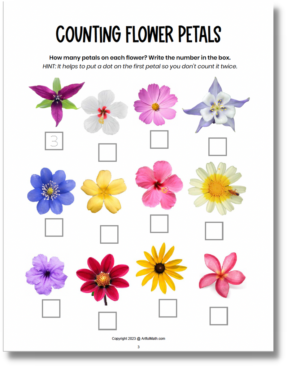 Nature Math A Wonder Filled Workbook For Curious Kids nature-math-a-wonder-filled-workbook-for-curious-kids