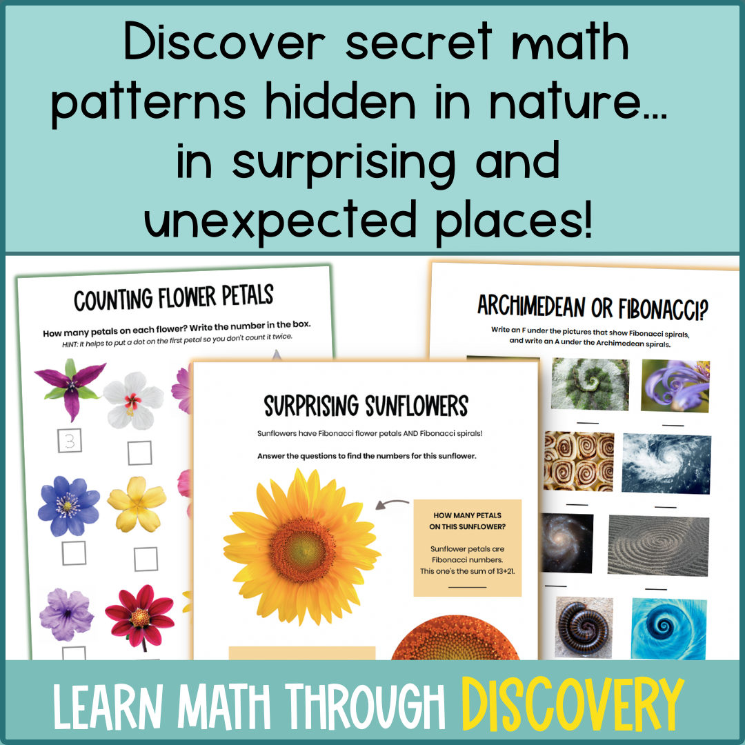 Nature Math: A Wonder-Filled Workbook for Curious Kids