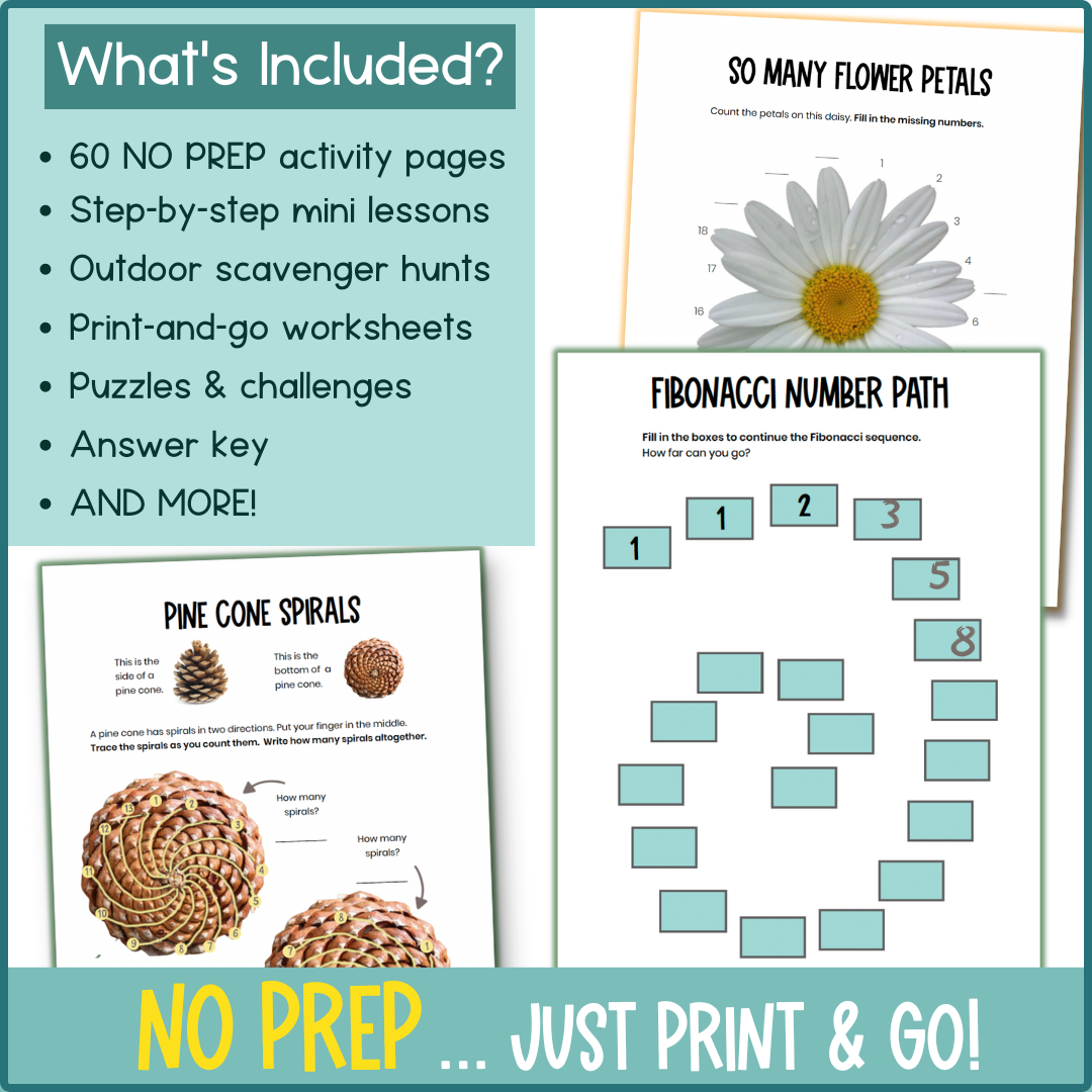 Nature Math: A Wonder-Filled Workbook for Curious Kids