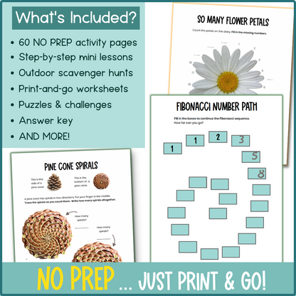 Nature Math: A Wonder-Filled Workbook for Curious Kids
