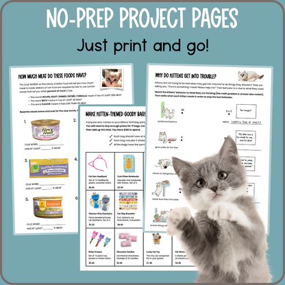 Kitten Math 2: A purr-fectly adorable fun math workbook