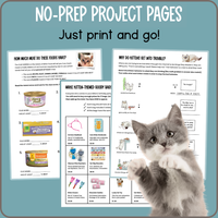 Kitten Math 2: A purr-fectly adorable fun math workbook