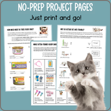 Kitten Math 2: A purr-fectly adorable fun math workbook