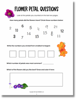Fun questions to help kids discover the Fibonacci sequence in flowers.