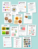 A collage of Nature Math pages showing math with flowers, pine cones, spirals, geometry, and nature photos. 