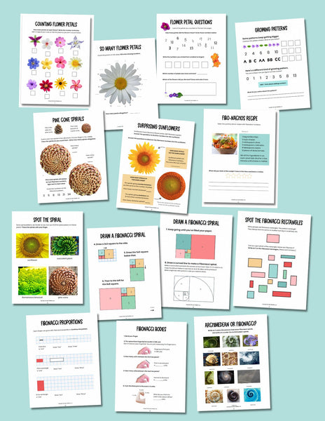 Nature Math Sheet Nature Math: A Wonder-Filled Workbook for Curious Kids