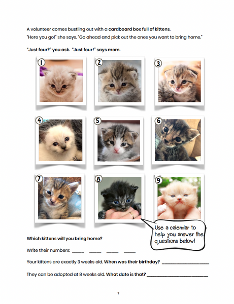 Kitten Math: The World's Most Adorable Math Project