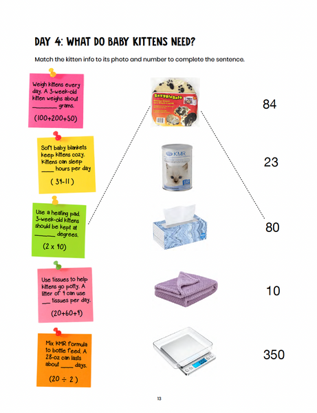 Kitten Math: The World's Most Adorable Math Project