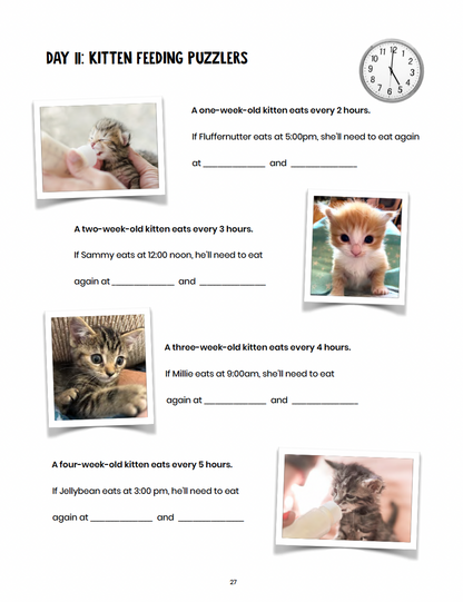 Kitten Math: The World's Most Adorable Math Project