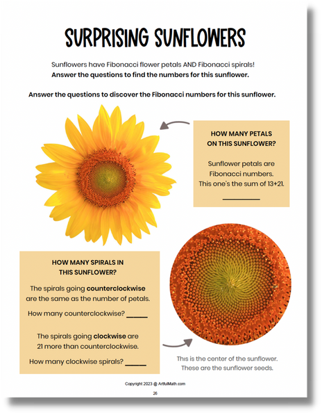 Sunflower Patterns Math Nature Math: A Wonder-Filled Workbook for Curious Kids